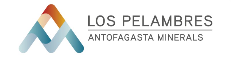 pelambres